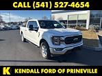 2023 Ford F-150 SuperCrew Cab 4x4 Pickup for sale #WPAJ6885 - photo 3