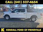 2023 Ford F-150 SuperCrew Cab 4x4 Pickup for sale #WPAJ6885 - photo 6