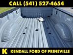 2024 Ford F-450 Crew Cab DRW 4x4 Pickup for sale #WPAM7218 - photo 9