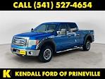 2009 Ford F-150 SuperCrew Cab 4WD Pickup for sale #WPB7125B - photo 1