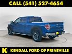 2009 Ford F-150 SuperCrew Cab 4WD Pickup for sale #WPB7125B - photo 3