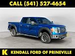 2009 Ford F-150 SuperCrew Cab 4WD Pickup for sale #WPB7125B - photo 7