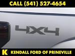 2010 Ford F-150 SuperCrew Cab 4x4 Pickup for sale #WPJ6797A - photo 10