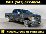 2017 Ford F-250 Crew Cab 4WD Pickup for sale #WPJ7317A - photo 7