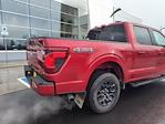 2024 Ford F-150 SuperCrew Cab 4x4, Pickup for sale #WUR1913 - photo 2