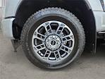 2024 Ford F-350 Crew Cab SRW 4WD Pickup for sale #RAB7481 - photo 14