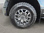 2023 Ford F-150 SuperCrew Cab 4WD Pickup for sale #RAB7737 - photo 14