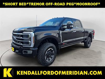 2024 Ford F-350 Crew Cab SRW 4WD Pickup for sale #RAJ7879 - photo 1