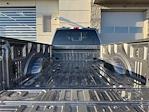 2024 Ford F-450 Crew Cab DRW 4x4 Pickup for sale #RAM7183 - photo 16