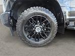 2020 Ford F-250 Crew Cab 4WD Pickup for sale #RAM7219A - photo 14