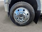 2025 Ford F-450 Crew Cab DRW 4WD Pickup for sale #RAQ7813 - photo 14