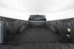 2024 Ford F-450 Crew Cab DRW 4x4 Pickup for sale #RN33262A - photo 9