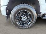 2024 Ford F-350 Crew Cab SRW 4WD Pickup for sale #RN34412A - photo 14