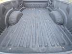 2020 Ford F-350 Crew Cab DRW 4WD Pickup for sale #RN34530A - photo 16
