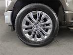 2024 Ford F-150 SuperCrew Cab 4WD Pickup for sale #RN35319A - photo 14
