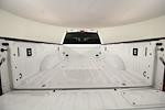 2024 Ford F-250 Crew Cab 4x4 Pickup for sale #RTC6276 - photo 9