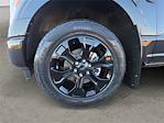 2022 Ford F-150 SuperCrew Cab 4WD Pickup for sale #RTS2802 - photo 14