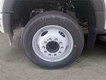 2024 Ford F-450 Regular Cab DRW 4x2 Cab Chassis for sale #F44050 - photo 13