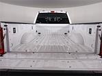 2024 Ford F-350 Crew Cab SRW 4x4 Pickup for sale #FAM7095 - photo 9