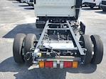 New 2024 Chevrolet LCF 4500HD Crew Cab Cab Chassis for sale #40234 - photo 7