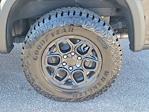 New 2024 Chevrolet Silverado 1500 ZR2 Crew Cab 4x4 Pickup for sale #43260 - photo 10