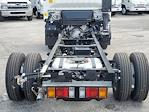 New 2025 Chevrolet LCF 3500 Regular Cab Cab Chassis for sale #50394 - photo 5