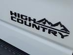 2025 Chevrolet Silverado 1500 Crew Cab 4x4 Pickup for sale #53052 - photo 6