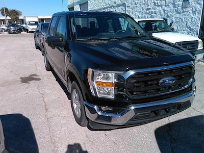 2023 Ford F-150 SuperCrew Cab 4x2 Pickup for sale #PBD44099 - photo 1