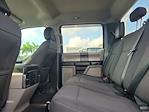 2019 Ford F-150 SuperCrew Cab 4x2 Pickup for sale #PPF22905 - photo 14