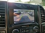 2019 Ford F-150 SuperCrew Cab 4x2 Pickup for sale #PPF22905 - photo 30