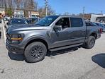 2025 Ford F-150 SuperCrew Cab 4x4 Pickup for sale #30171 - photo 3