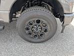 2025 Ford F-350 Crew Cab SRW 4x4 Pickup for sale #30216 - photo 6