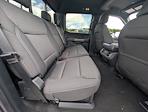 2025 Ford F-150 SuperCrew Cab 4x4 Pickup for sale #30236 - photo 8