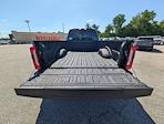 2025 Ford F-450 Crew Cab DRW 4x4 Pickup for sale #30245 - photo 9