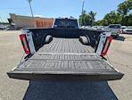 2025 Ford F-450 Crew Cab DRW 4x4 Pickup for sale #30261 - photo 9
