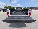 2025 Ford F-450 Crew Cab DRW 4x4 Pickup for sale #30307 - photo 10