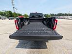 2025 Ford F-350 Crew Cab SRW 4x4 Pickup for sale #30338 - photo 10