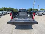 2025 Ford F-250 Crew Cab 4x4 Pickup for sale #30382 - photo 10