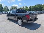 2025 Ford F-150 SuperCrew Cab 4x4 Pickup for sale #30396 - photo 2