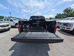 2025 Ford F-150 SuperCrew Cab 4x4 Pickup for sale #30436 - photo 10