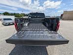 2025 Ford F-150 SuperCrew Cab 4x4 Pickup for sale #30448 - photo 10