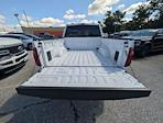 2025 Ford F-150 SuperCrew Cab 4x4 Pickup for sale #30591 - photo 9