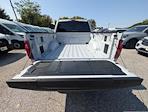 2025 Ford F-150 SuperCrew Cab 4WD Pickup for sale #30599 - photo 9