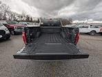 New 2025 Ford F-150 Platinum SuperCrew Cab for sale #30741 - photo 9
