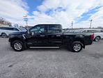 2024 Ford F-150 SuperCrew Cab 4WD Pickup for sale #30752A - photo 2