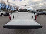New 2026 Ford F-150 XLT SuperCrew Cab for sale #40120 - photo 9