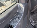 New 2026 Ford F-150 XLT SuperCrew Cab for sale #40135 - photo 13