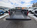 2026 Ford F-150 Regular Cab 4WD Pickup for sale #40197 - photo 7