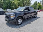 2023 Ford F-150 SuperCrew Cab 4x4 Pickup for sale #P10747 - photo 3