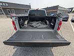 2023 Ford F-150 SuperCrew Cab 4x4 Pickup for sale #P10757 - photo 14